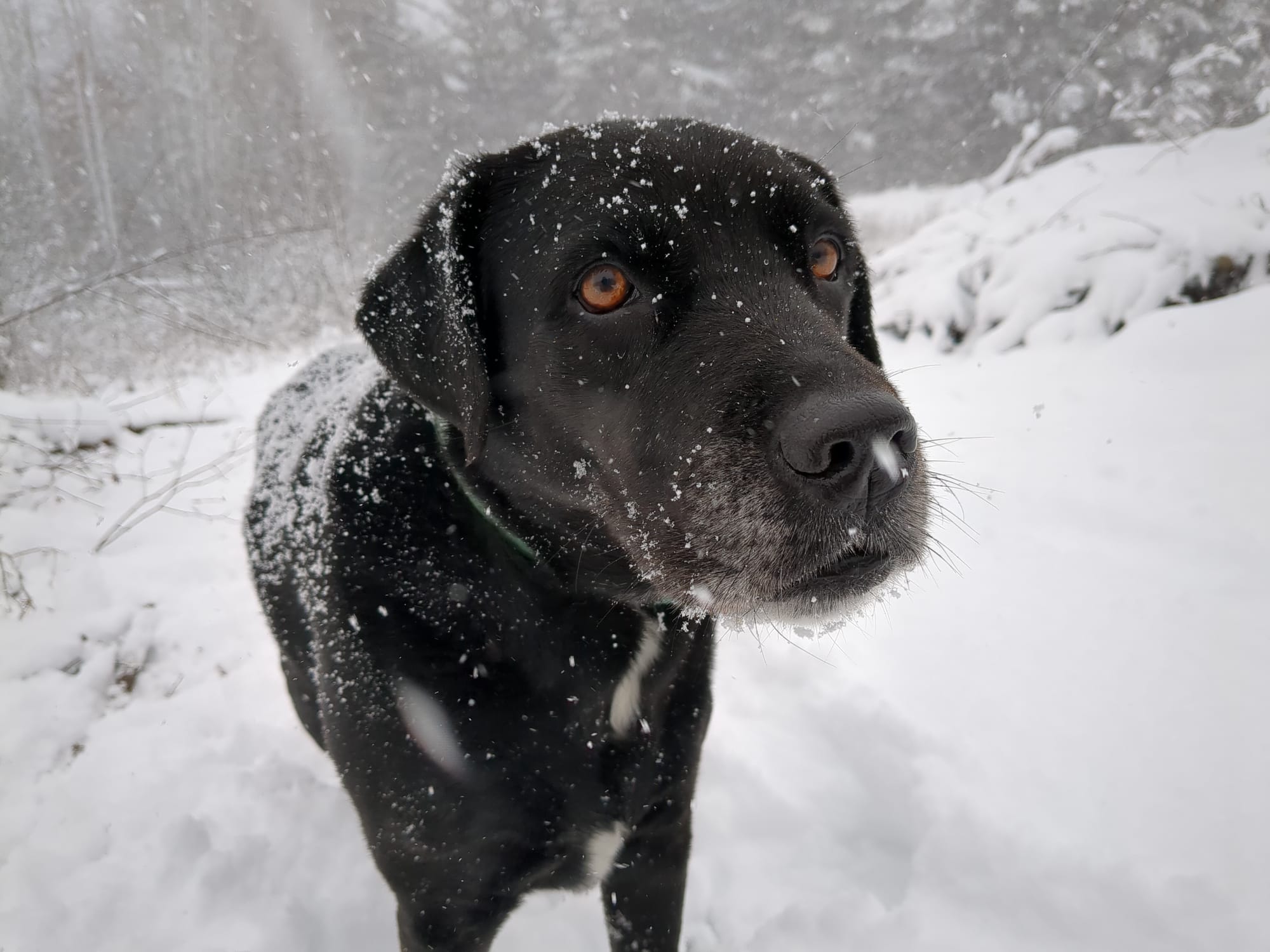 Outdoors Regardless of the Weather